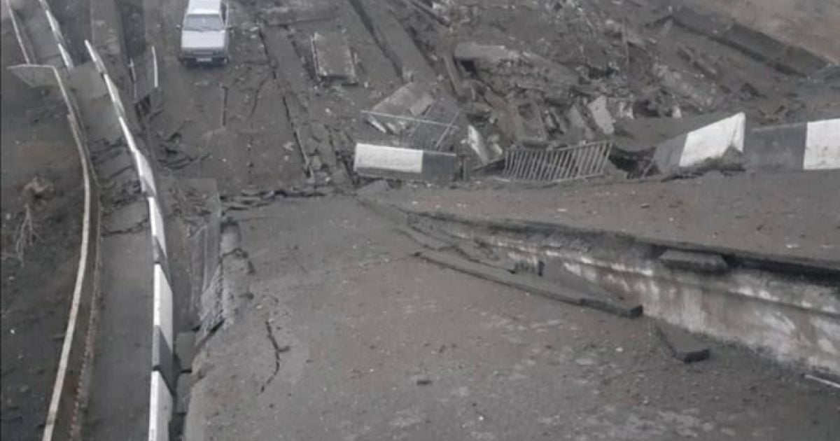 В Дымерской общине на Киевщине после боев села без тепла и света, а звери в зоопарке остались без продовольствия