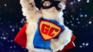 grumpy cat_5 / © instagram.com/realgrumpycat