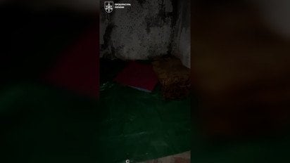 Замах на Єрмолаєва в Монако: тіло підозрюваної знайшли під Києвом - відео