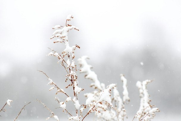 Народні прикмети 25 листопада / © unsplash.com