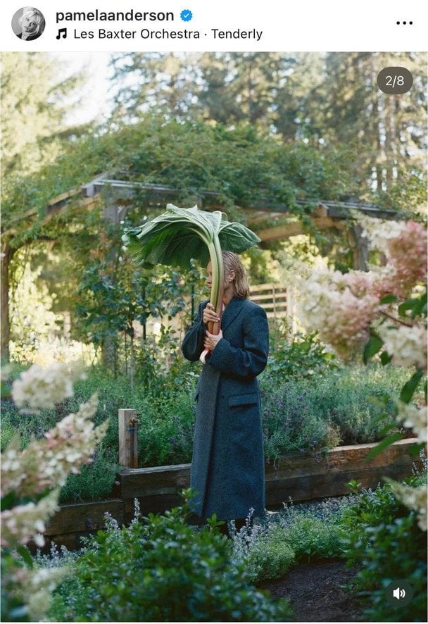Памела Андерсон / © Instagram Памели Андерсон