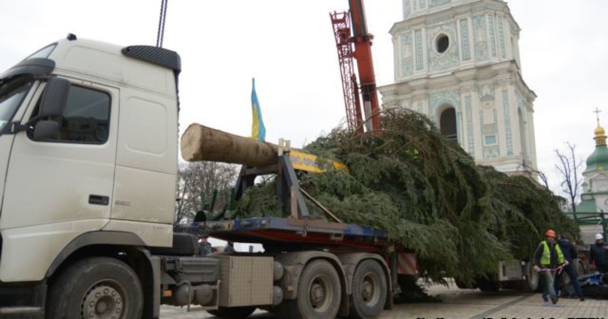 В столицу приехала главная елка страны / © Радио Свобода