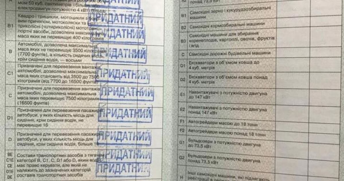 банда підробляла документи_13 / © facebook.com/Лариса Сарган