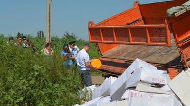 Сыр давили катком / © Znak.com