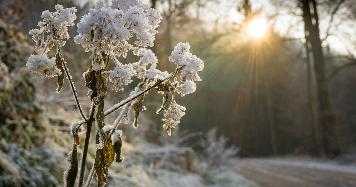 Какой сегодня, 30 декабря, день ангела