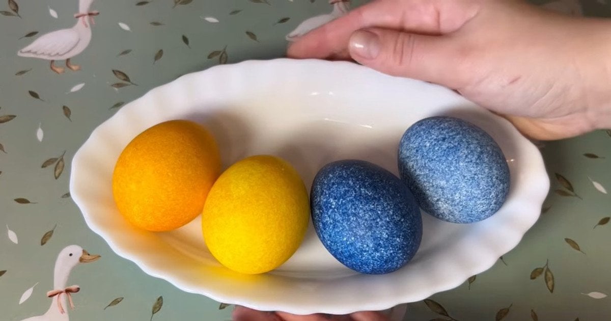 Крашанки. Фото: https://www.youtube.com/@TanyaBiser_ua