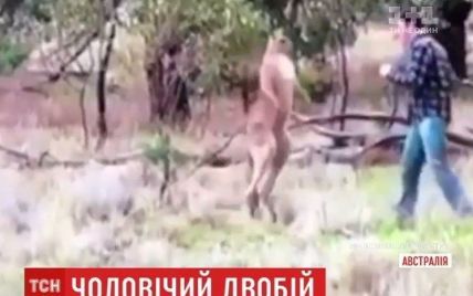 Австралиец подрался с кенгуру и выложил видео в интернет