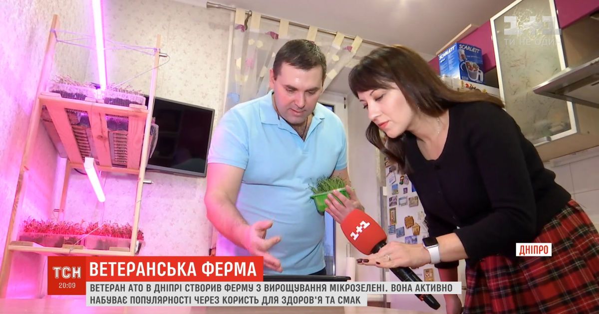 Ветеран ато в днепре создал ферму по выращиванию микрозелени