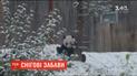 Снігові забави. У вашингтонському зоопарку зафільмували, як панда зустрічає перший сніг