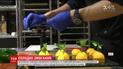 Украинская команда кондитеров начала 19-часовой марафон по изготовлению сладостей