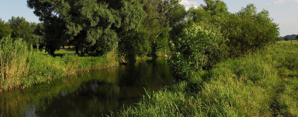 В реку Рось попал опасный яд: через десять часов достигнет Белоцерковщины