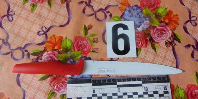 В Киеве на Оболони свекровь схватила кухонный нож и ударила невестку в грудь