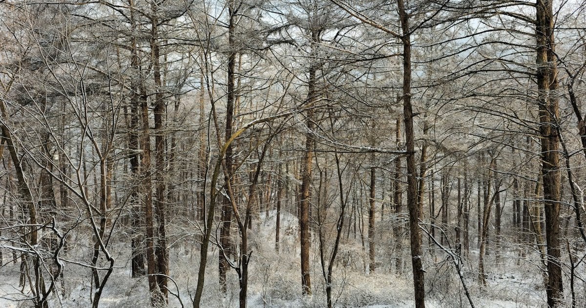 Який сьогодні, 14 лютого, день ангела