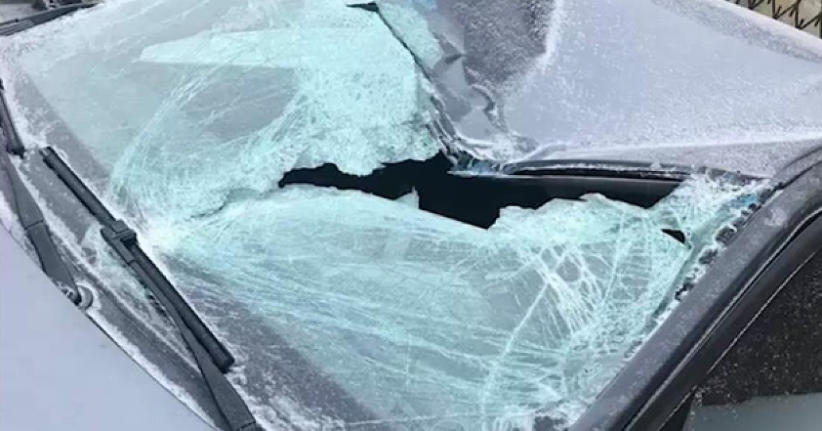Фото: скриншот с видео