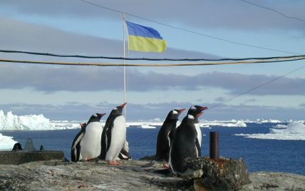 Оскарження тендерів зриває експедицію українських учених до Антарктиди