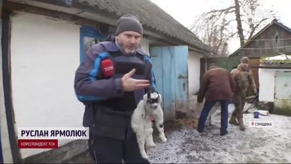 Злочини росіян на Сумщині не лише проти людей: з сіл евакуюють вцілілих тварин