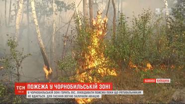 Біля Чорнобиля палають гектари лісу: рятувальники задіяли авіацію