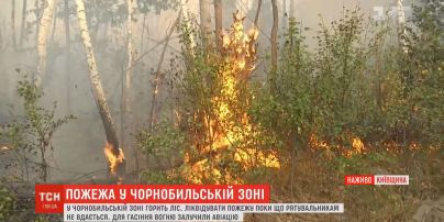 Біля Чорнобиля палають гектари лісу: рятувальники задіяли авіацію