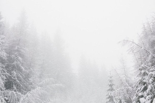 Народные приметы 25 февраля / © pexels.com