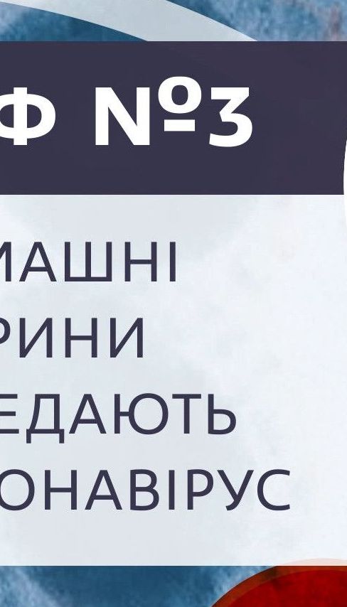 Передают ли домашние животные коронавирус – Мифы о COVID-19