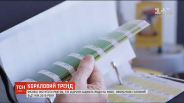 Фахівці визначили головний відтінок 2019 року