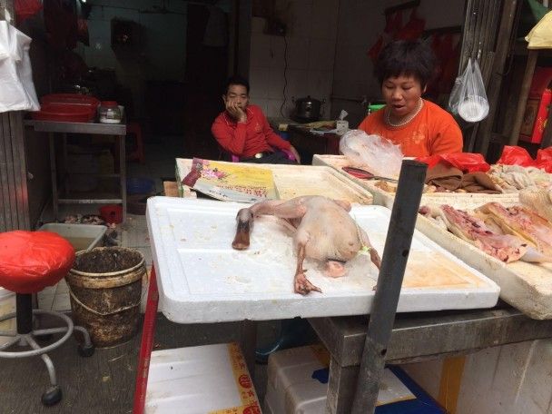 До речі, навіть сиру курку чи качку китайці продають із головою. Виглядає трохи моторошно / © фото: Тетяна Лазарчук