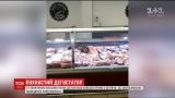 У Києві кіт влаштував дегустацію ковбас на прилавку супермаркету