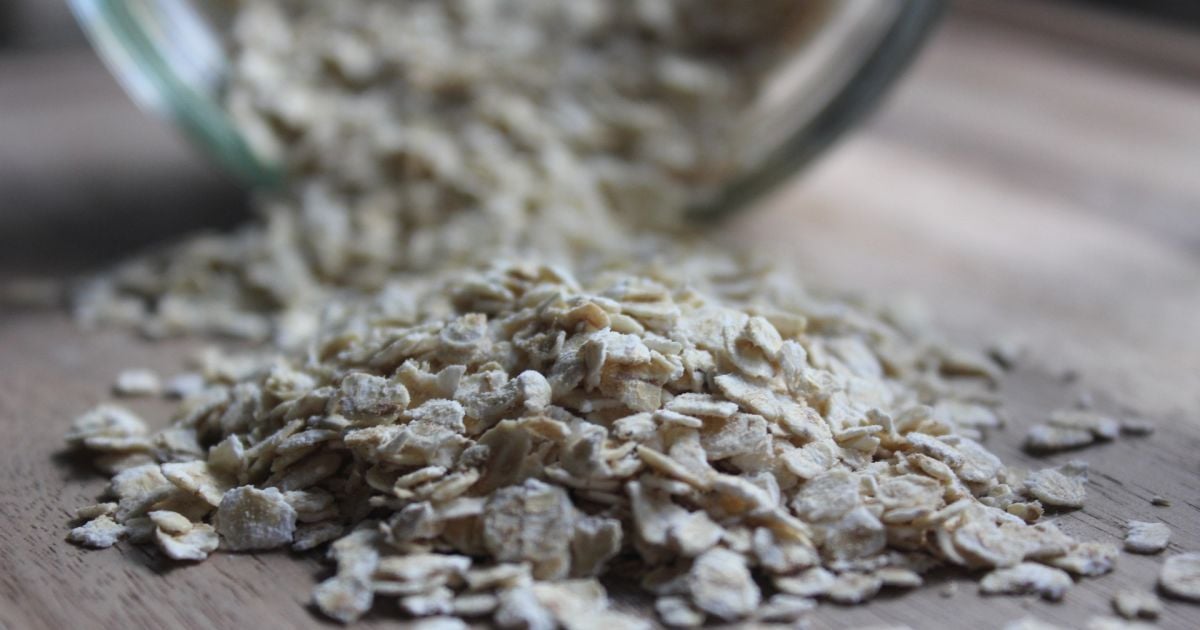 Овсяные хлопья Геркулес на огороде – зачем их рассыпают на грядках