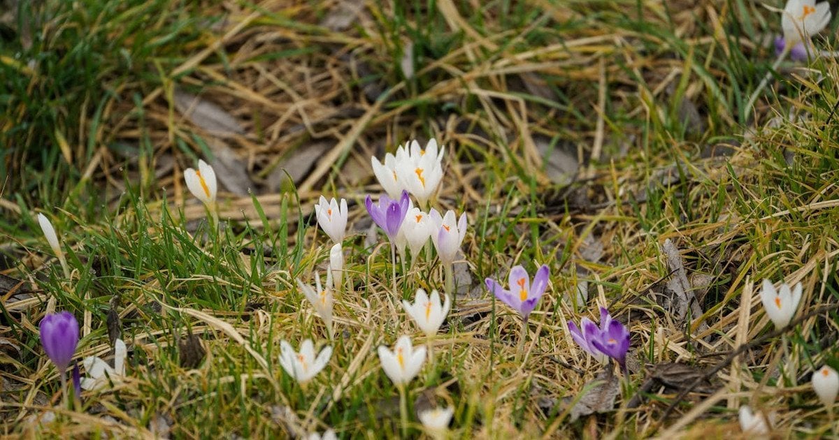 В Україні буде тепліше