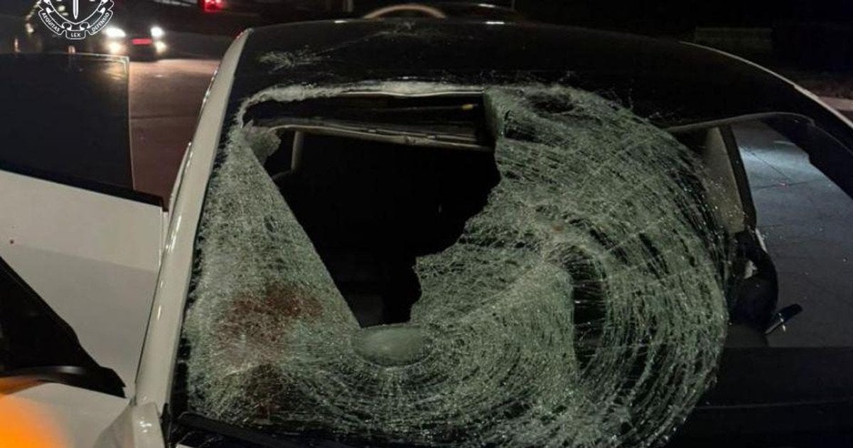 Пьяный водитель сбил насмерть ребенка на переходе