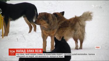 Собаки-агресори: у Рівному тварини з приватного обійстя періодично нападають на дітей