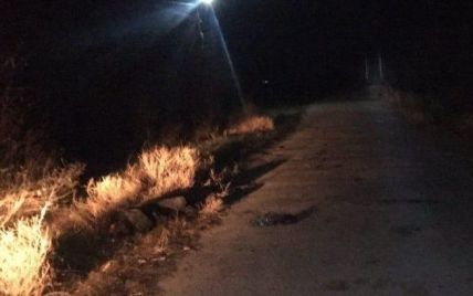 В Одесской области на дороге нашли мертвую женщину