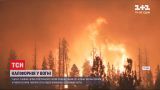 Лесные пожары в Калифорнии: пламя охватило 14 тысяч гектаров меньше чем за сутки