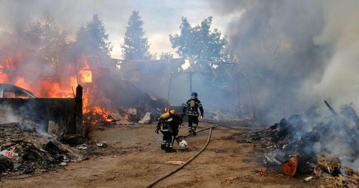 В Украине массово горят экосистемы: как избежать пожаров (фото)