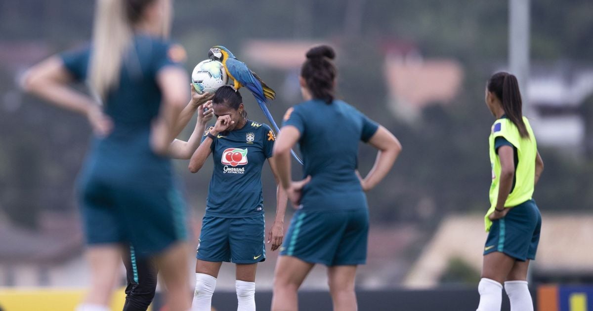 twitter.com/CBF_Futebol, Thaís Magalhães/CBF