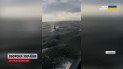 Дельфіни допомагають прикордонникам патрулювати Чорне море! 