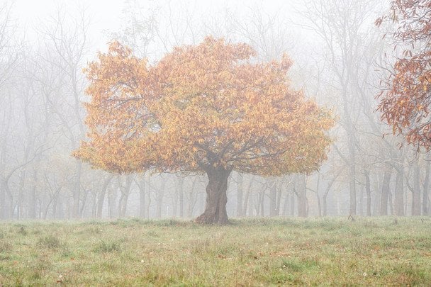 Народні прикмети 31 жовтня / © unsplash.com