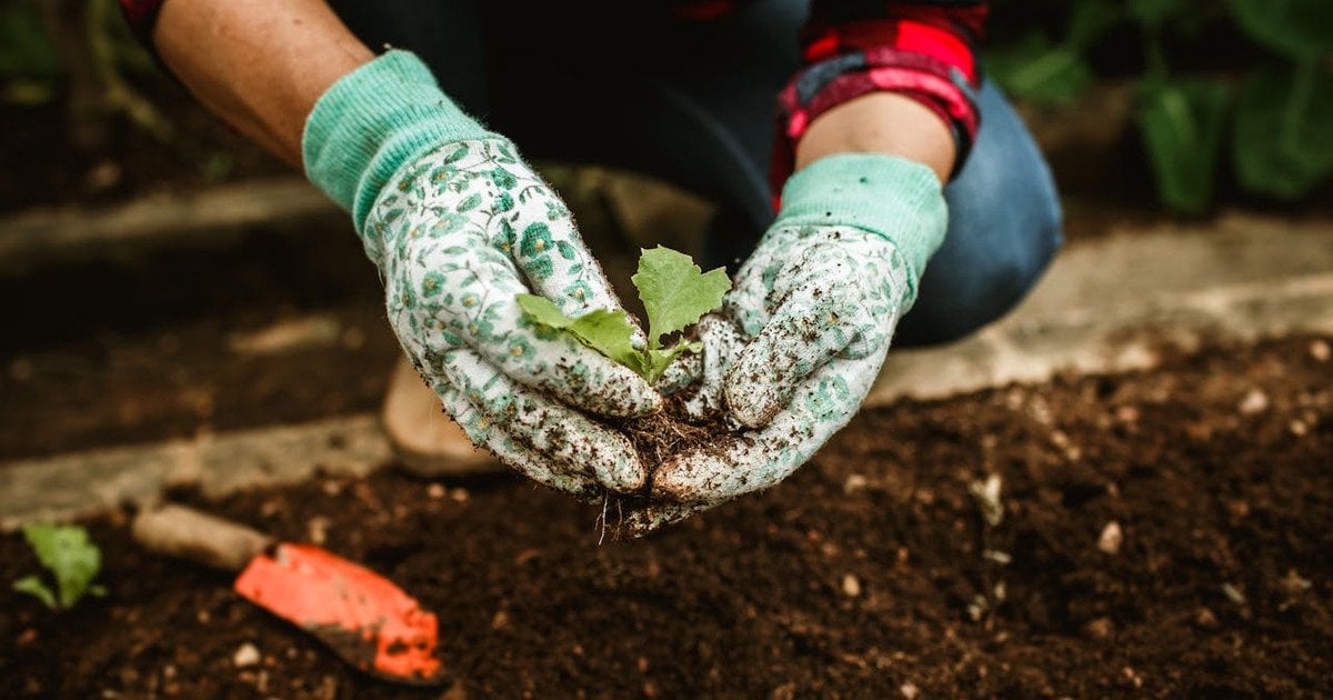 Лунный посевной календарь на апрель 2026 года