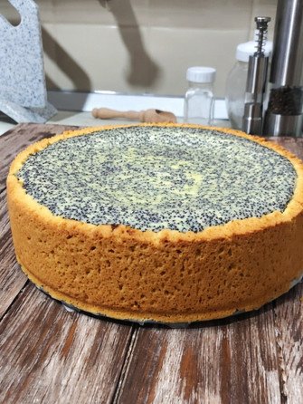 Маковый пляцок tiktok.com/@mil_alexx_pp