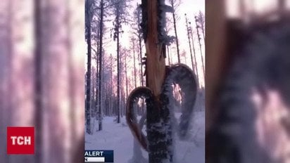 На заміну морозам йде ще одна напасть! Синоптики попереджають!