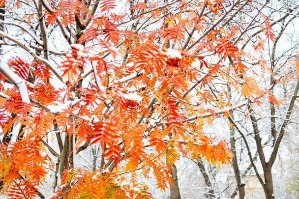9 ноября снегопад — непогода затянется / © Unsplash
