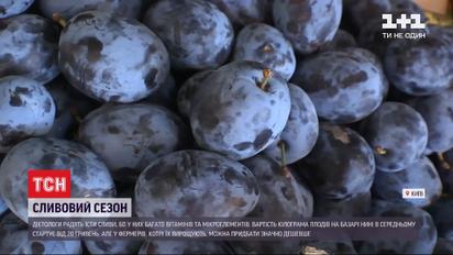 Сезон слив: сколько стоят и что из них можно приготовить