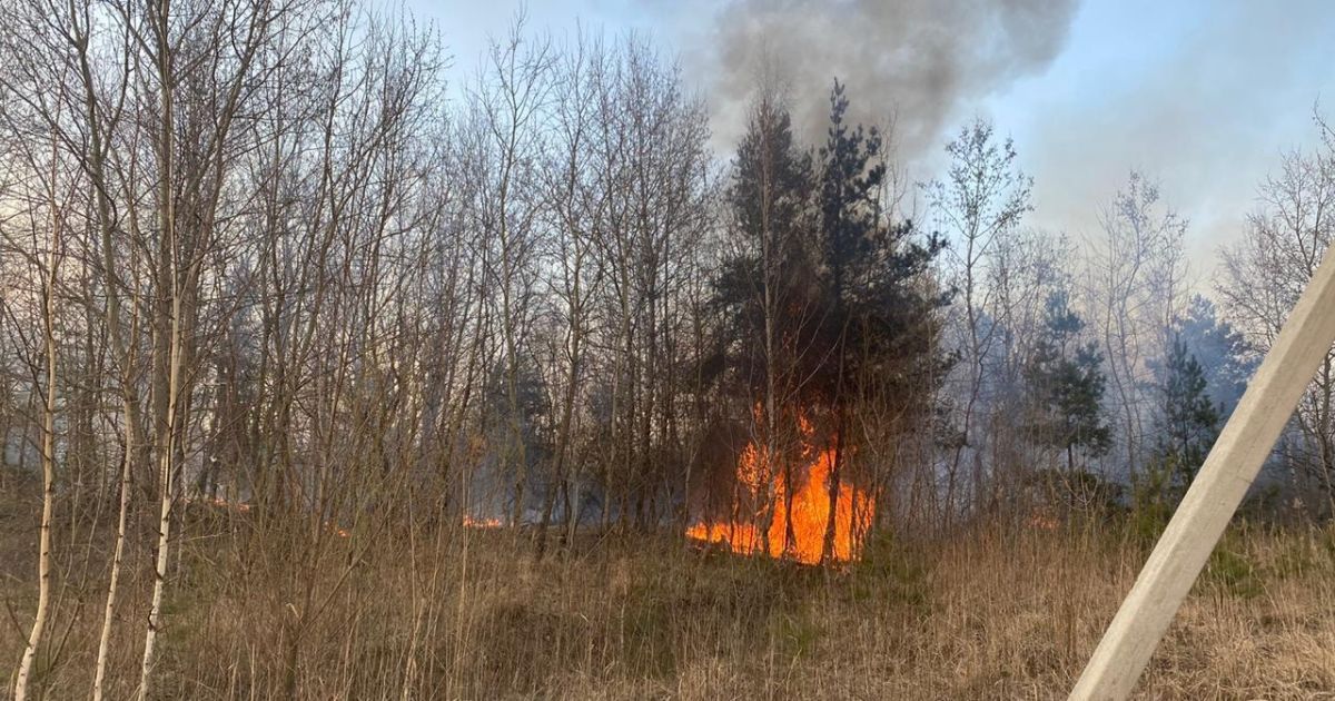 пожежа на сміттєзвалищі біля Яворова на Львівщині_4 / © Юрій Холод / Facebook