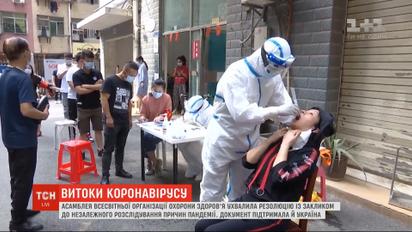 Установить истину: Ассамблея ВОЗ приняла резолюцию с призывом разобраться с причинами пандемии