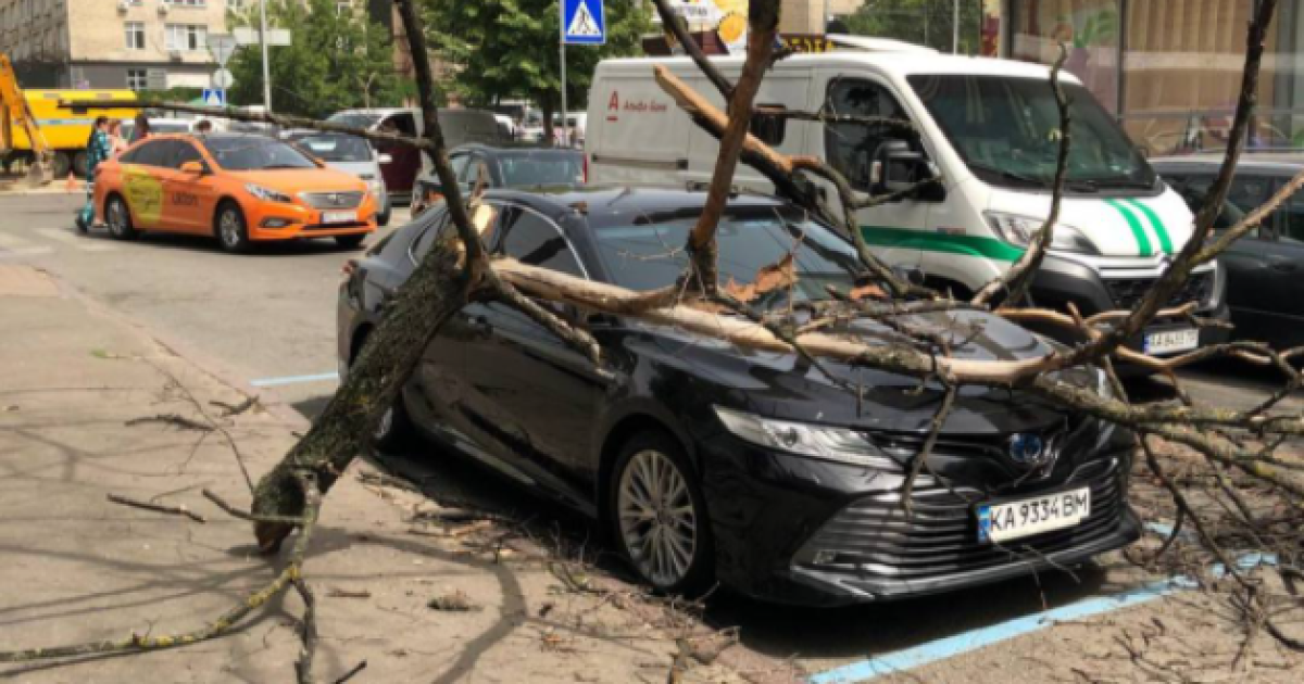 В Киеве на припаркованную машину упала огромная ветка