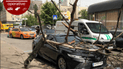 В Киеве на припаркованную машину упала огромная ветка