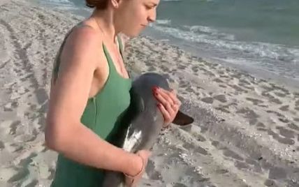 Пытался выброситься на берег: в Николаевской области отдыхающие спасли дельфиненка (видео)