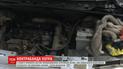 Украинка пыталась вывести в Европу сотни норковых шкурок