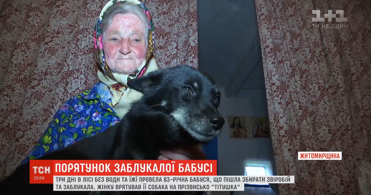 У Житомирській області бабуся заблукала в лісі і провела три дні без їжі та води