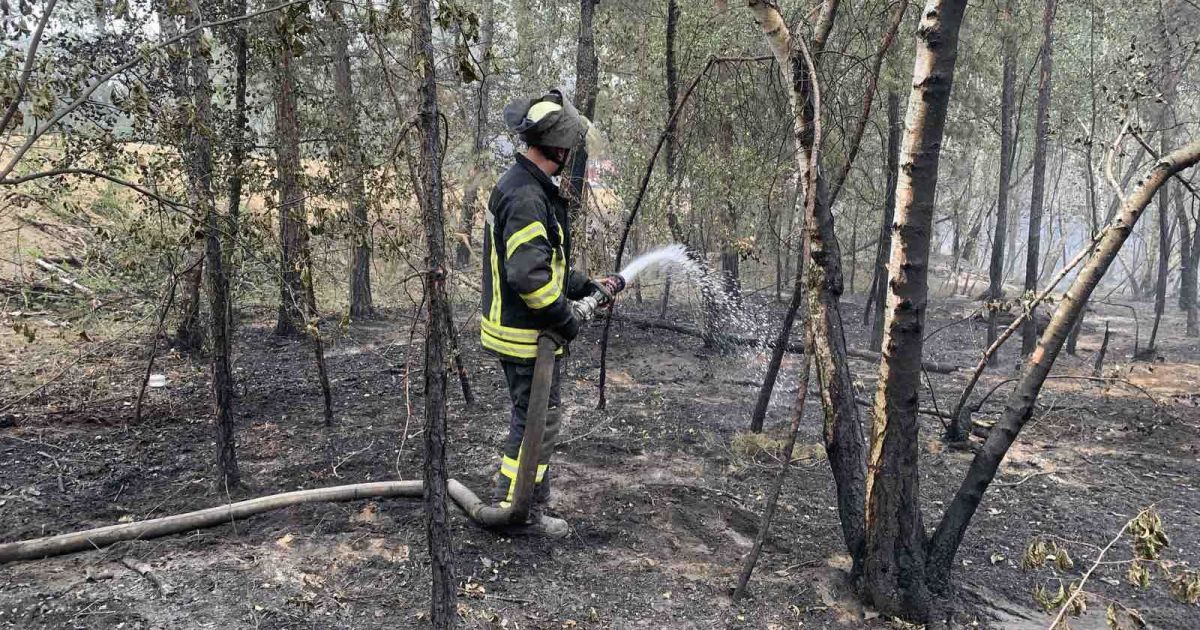 Смертоносный пожар в Луганской области: открытого огня нет, только три очага тления